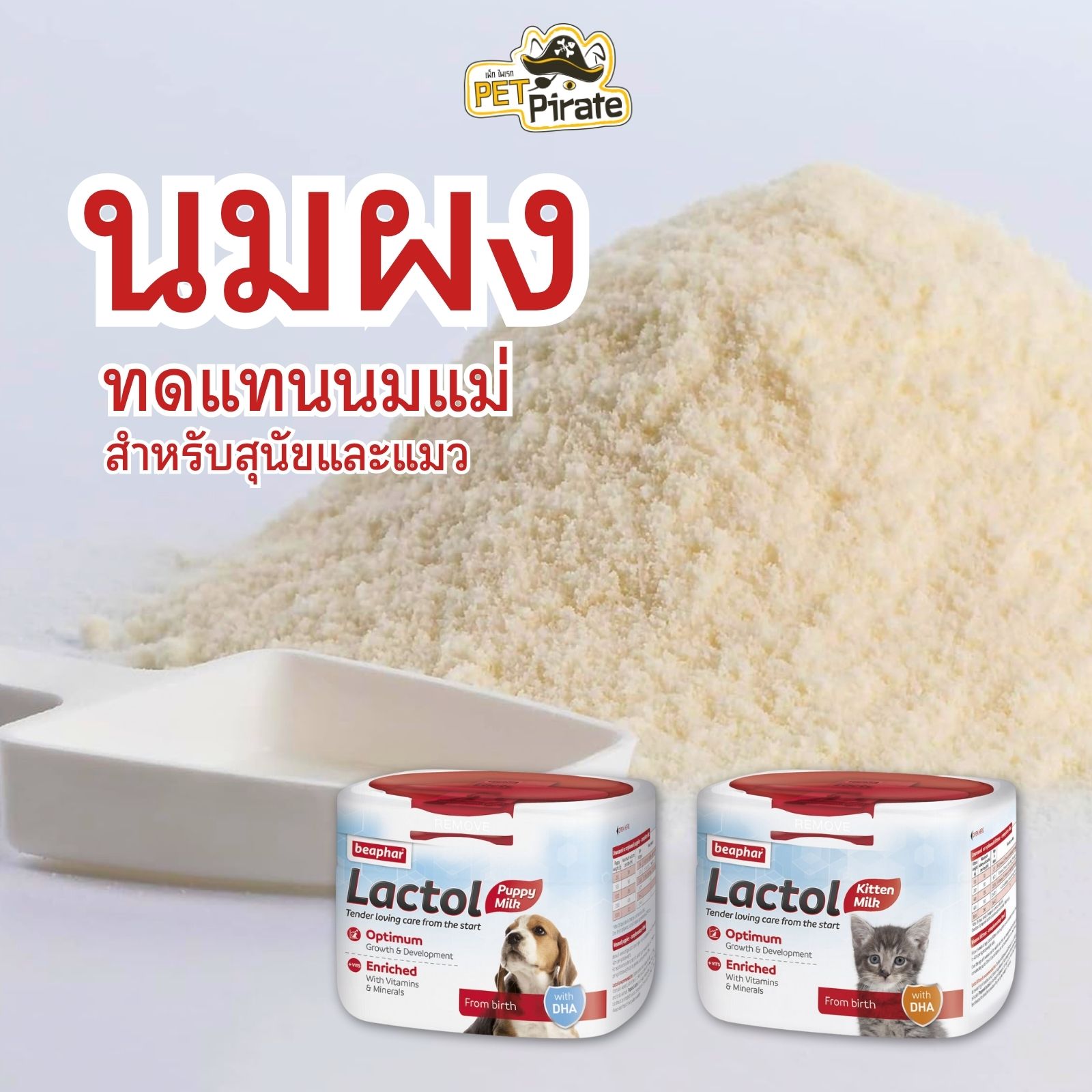 Beaphar Lactol Milk นมผงทดแทนนมแม่ สำหรับสุนัขและแมว มีโปรตีนสูงเพียงพอต่อความต้องการ บรรจุ 250 กรัม