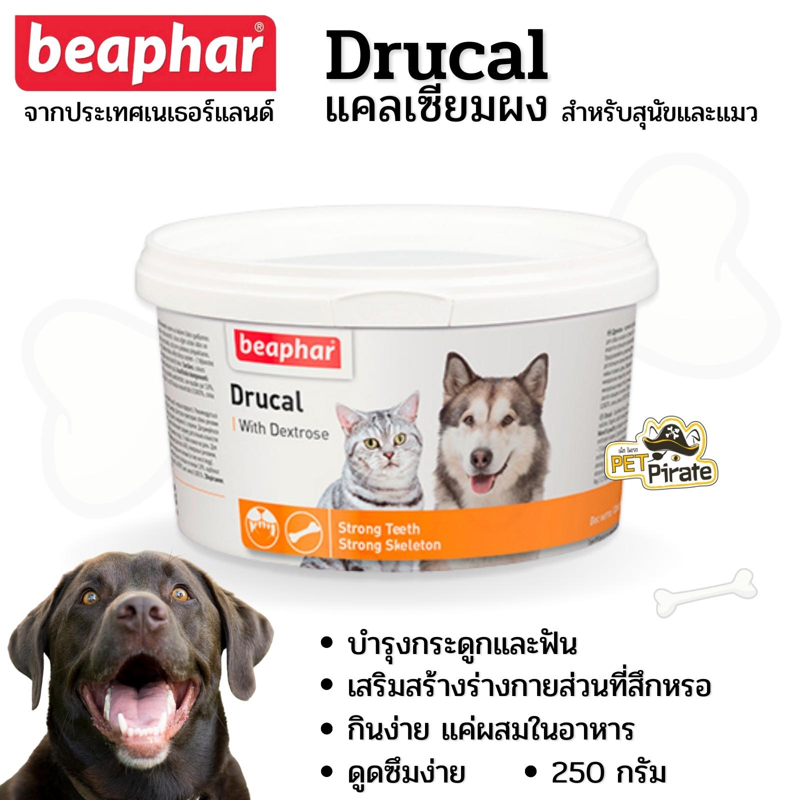 Beaphar Drucal อาหารเสริมแมว อาหารเสริมหมา แคลเซียมผง ช่วยให้กระดูก ข้อต่อและฟันแข็งแรง จากประเทศเนเธอร์แลนด์ (250g)