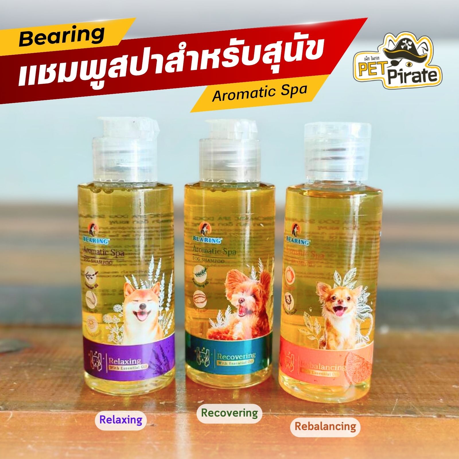 Bearing Aromatic Spa แชมพูสปาขน สำหรับสุนัข กลิ่นหอมผ่อนคลาย บำรุงขนหอมทน ขนแข็งแรง ขนาดทดลอง 65 มล.