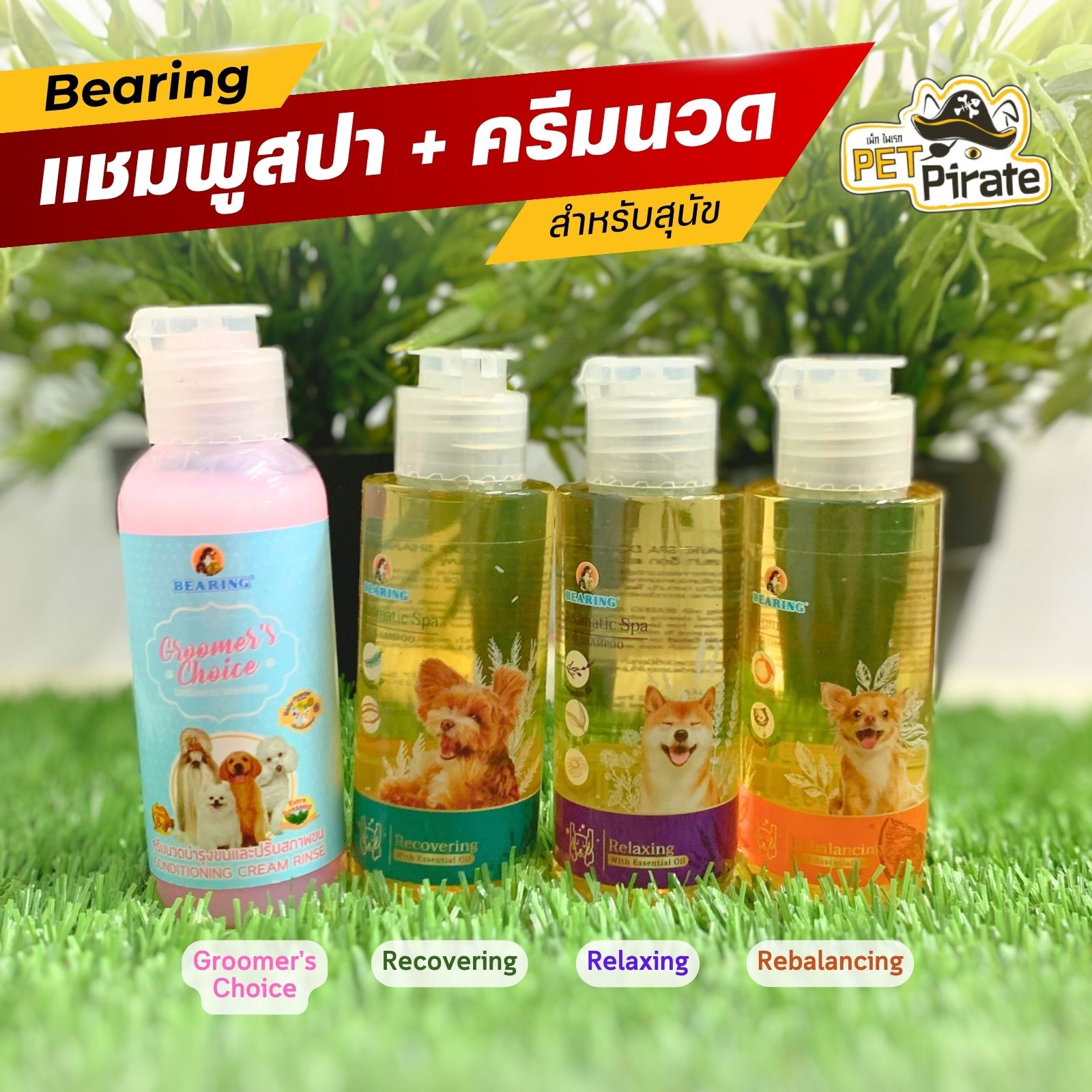 Bearing แชมพูสปาขนและครีมนวดผสมแชมพู สำหรับสุนัข [เซ็ต 4 ขวด] อ่อนโยนต่อผิว บำรุงขน ขนาดทดลอง 65 มล.