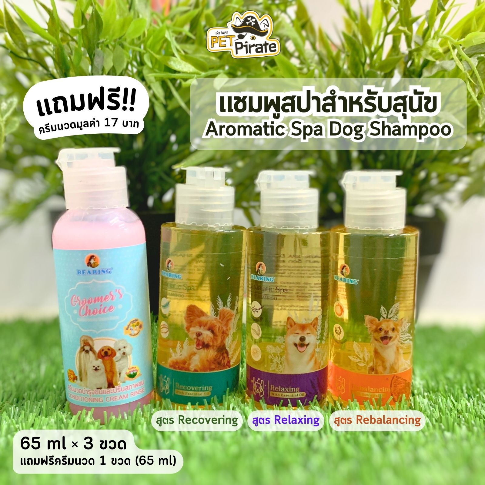 Bearing Aromatic Spa แชมพูสปาขนสำหรับสุนัข [ชุด 3 ขวด แถมฟรี! ครีมนวด 1 ขวด] ขนาดทดลอง 65 มล.