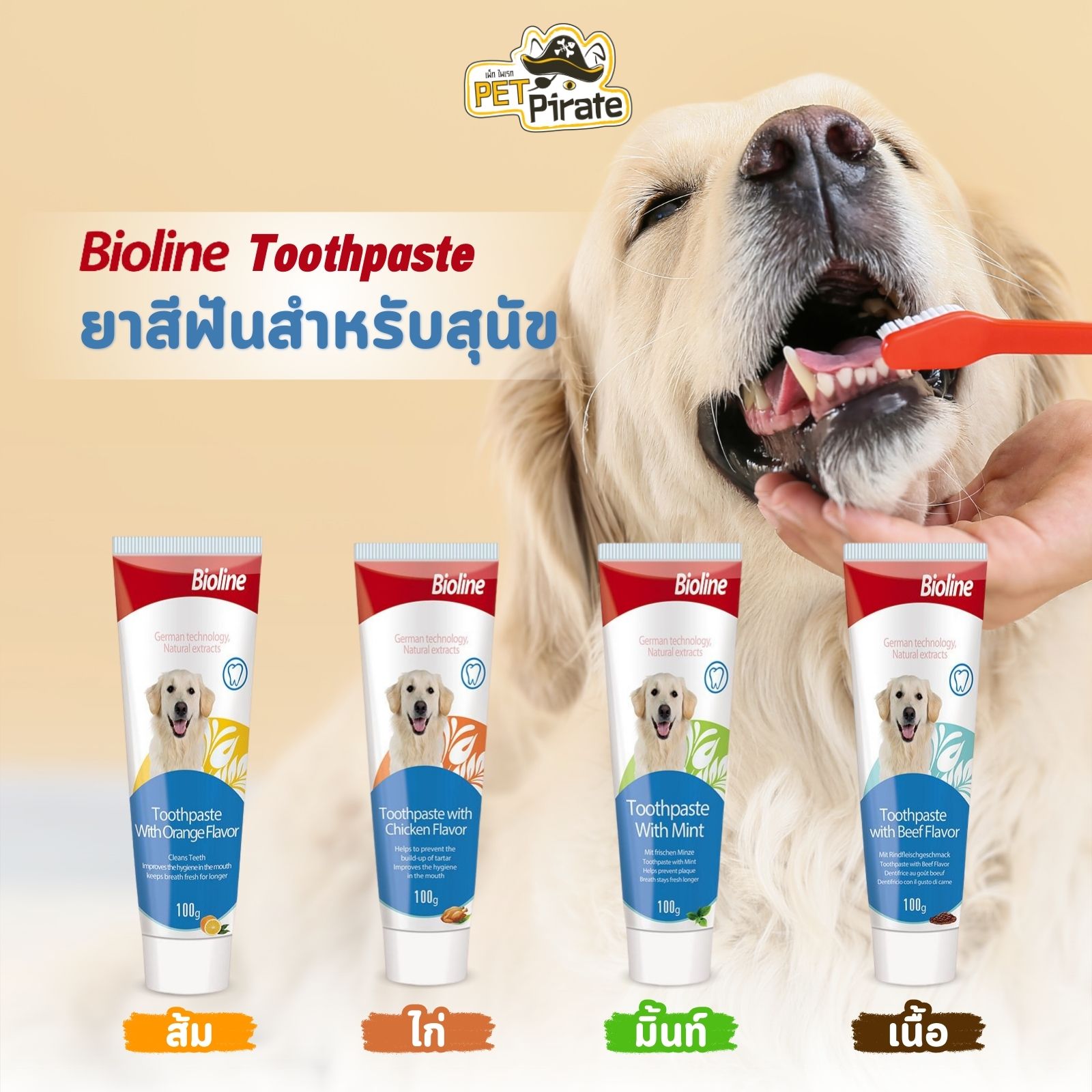 Bioline Toothpaste ยาสีฟันสำหรับสุนัข ทำความสะอาดดูแลสุขภาพปากและฟัน ลดคราบพลัค คราบหินปูน บรรจุ 100 กรัม