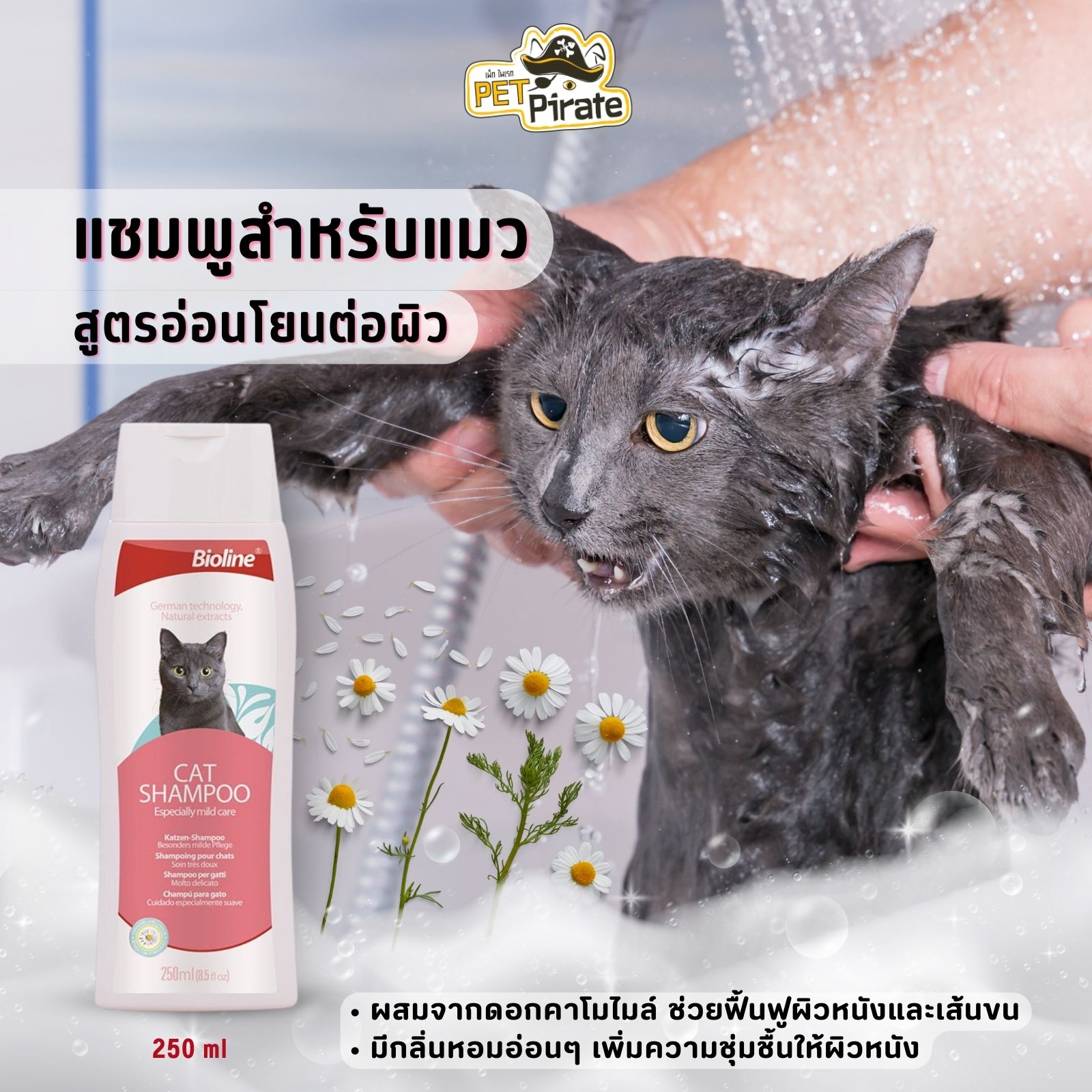 Bioline Cat Shampoo แชมพูแมว สูตรอ่อนโยน กลิ่นหอม ช่วยผ่อนคลาย ลดการอักเสบของผิวหนัง ลดขนร่วง บรรจุ 250 มล