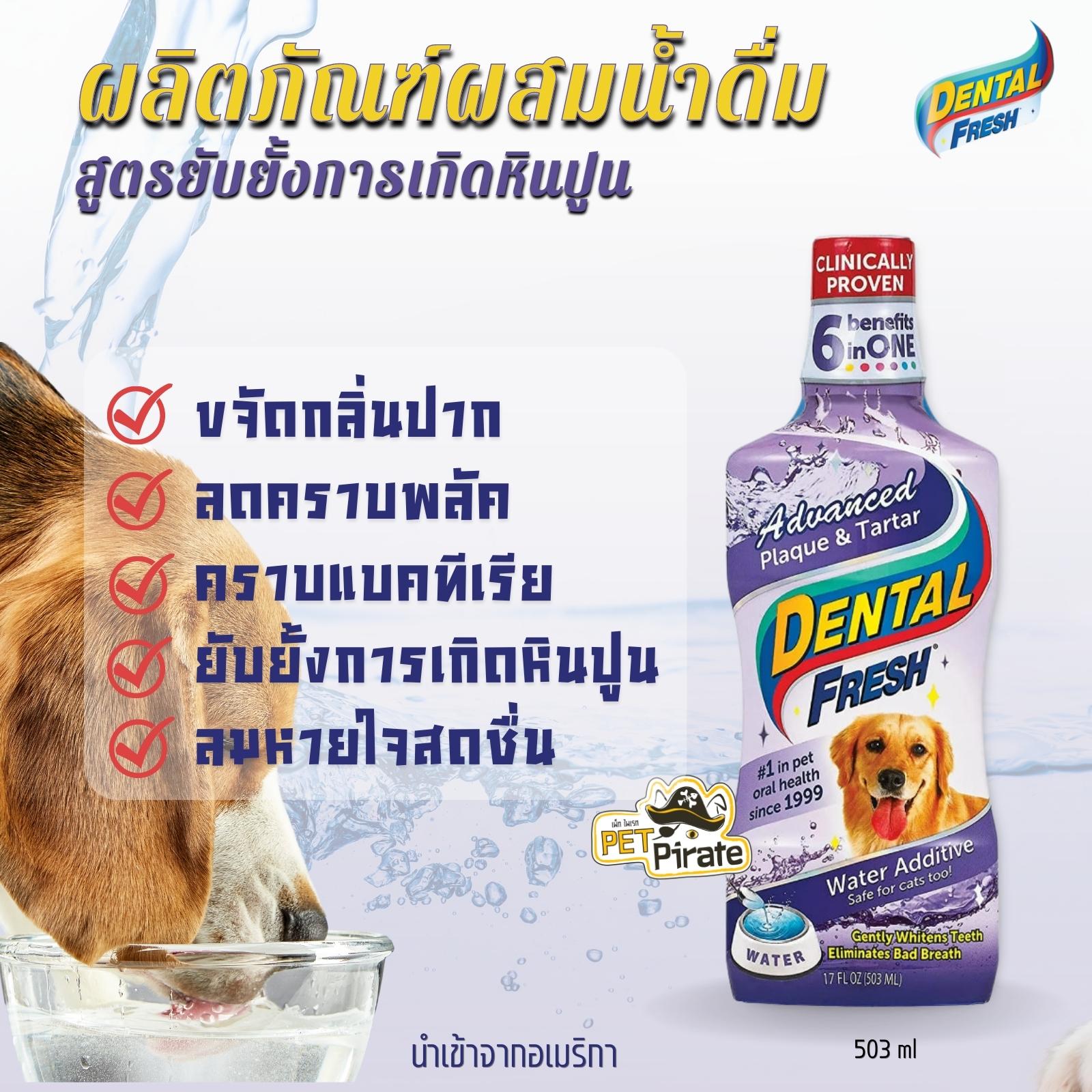 Dental Fresh ผลิตภัณฑ์ขจัดกลิ่นปากสำหรับสุนัข สูตรยับยั้งการเกิดหินปูน ขนาด 503 ml. (ขวดม่วง) นำเข้าจากอเมริกา