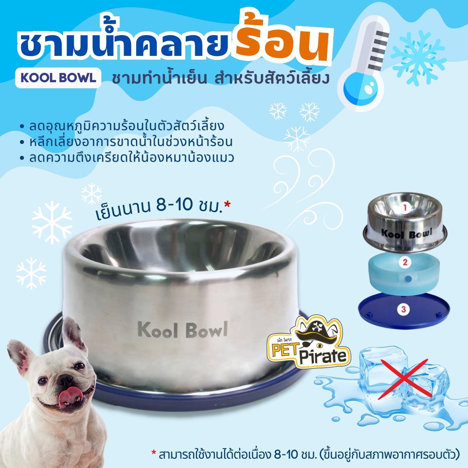 อากาศร้อน หมาไม่ร้อน ด้วย Kool Bowl ชามน้ำเย็นสแตนเลสสำหรับสุนัข ที่ให้น้ำหมา ให้ความเย็นชื่นใจยาวนาน 8-10 ชม. ชามน้ำหมา