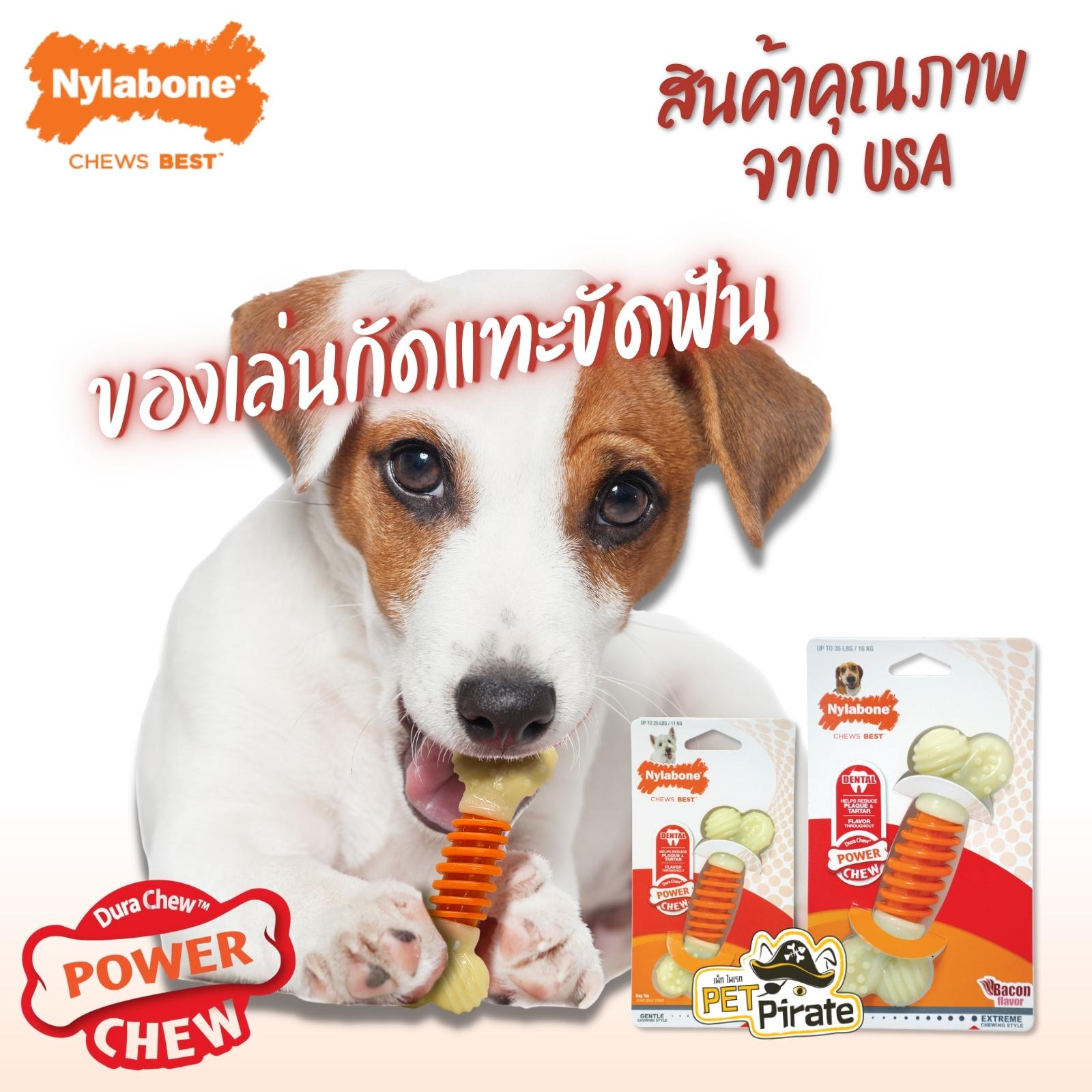 Nylabone ของเล่นกัดแทะขัดฟันสำหรับสุนัข น้ำหนักไม่เกิน 11 กก. รสเบคอน สำหรับสุนัขสายแทะ ที่รักการแทะกัดเคี้ยว