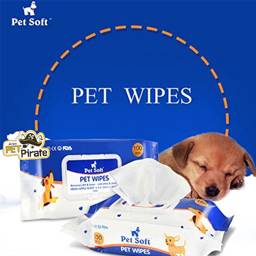 Pet Soft Pet Wipes ผ้าเปียกทำความสะอาดสำหรับสุนัข [ชุด 3 ห่อ] ทิชชูเปียกแผ่นใหญ่ เช็ดได้ทั้งตัว ขนชุ่มชื้น 100 แผ่น