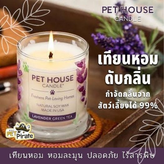 Pet House Candle เทียนหอม หอมละมุน ปลอดภัย ไร้สารพิษ ดับกลิ่นเหม็น แม้จุดในบ้านที่มีเด็ก หรือ สัตว์เลี้ยง