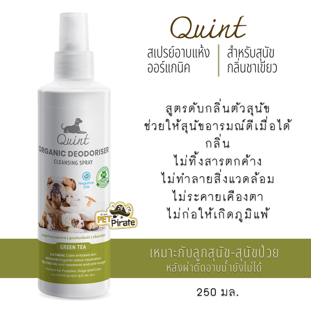 Quint ควินท์ สเปรย์อาบแห้ง กลิ่นชาเขียว สูตรดับกลิ่นตัวสุนัข ปลอดภัยแม้ผิวที่แพ้ง่าย เหมาะกับลูกหมา หมาป่วย 250 ml