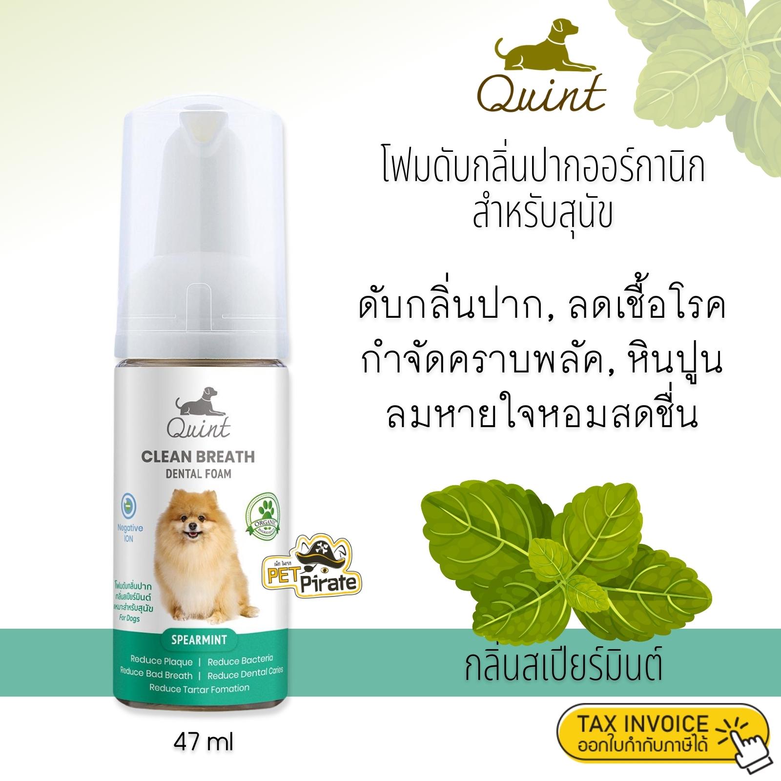 Quint ควินท์ โฟมดับกลิ่นปาก สำหรับสุนัข กลิ่นสเปียร์มินต์ กำจัดคราบพลัค หินปูน ดับกลิ่นปาก ลดเชื้อโรค ลมหายใจหอม 47 ml