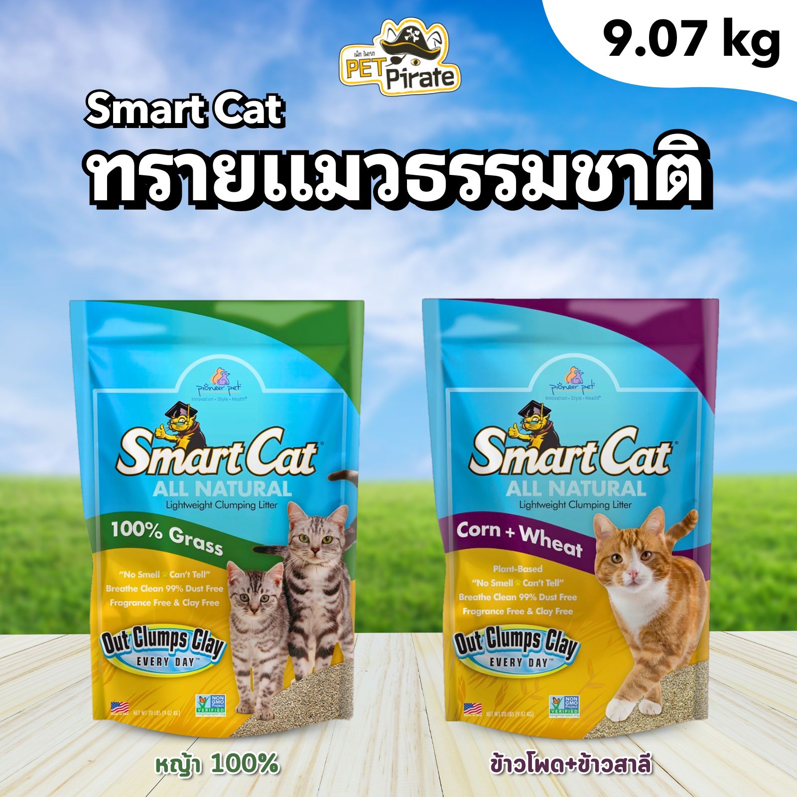 Smart Cat สมาร์ทแคท ทรายแมวปลอดสารเคมี ปลอดภัยไร้ฝุ่น น้ำหนักเบา ย่อยสลายได้ ทำจากหญ้า บรรจุ 9.07 kg