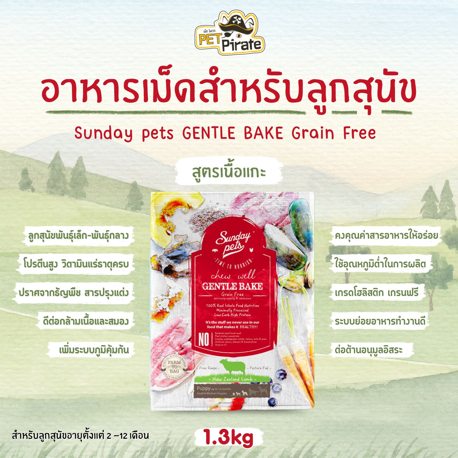 Sunday pets GENTLE BAKE Grain Free อาหารเม็ดสำหรับลูกสุนัขพันธุ์เล็ก-พันธุ์กลาง สูตรเนื้อแกะ เสริมสร้างระบบต่างๆ 1.3kg